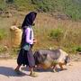 on the way to market, Ha Giang