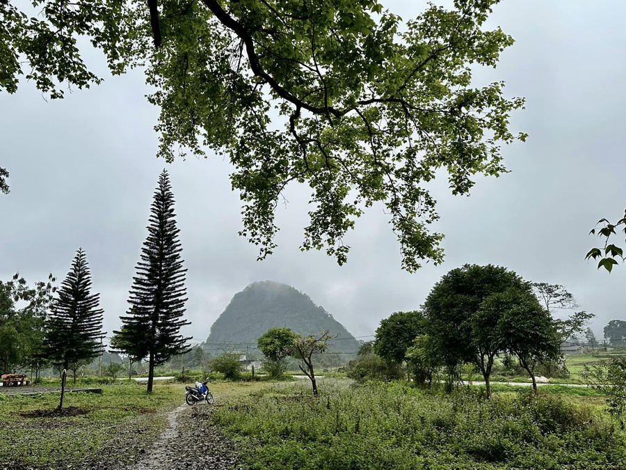 Temple of Dan Village