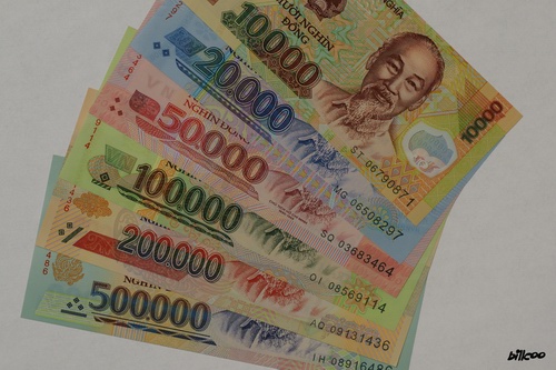 Vietnam bank notes
