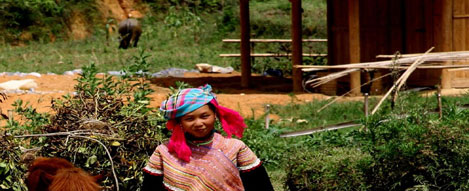 Bac Ha information