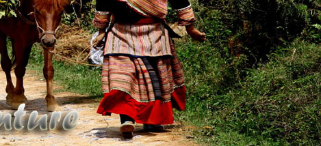 Bac Ha attractions