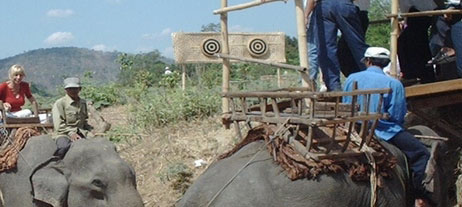 Buon Ma Thuot elephant riding