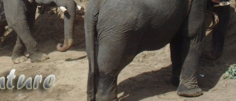 Buon Ma Thuot attractions