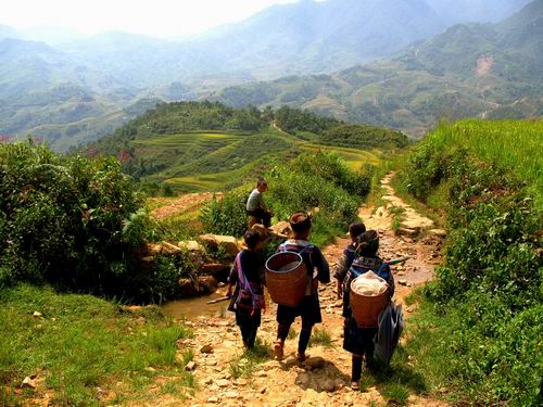 Sapa trekking