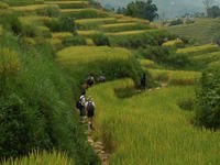 Sapa Vietnam